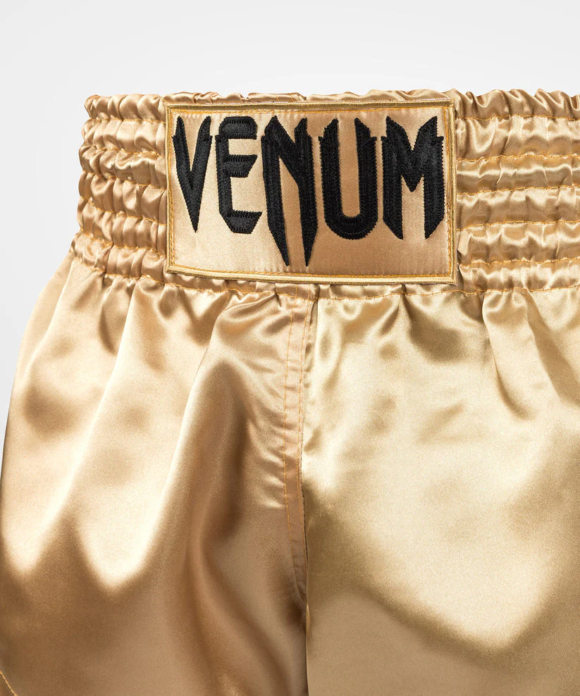 Kick-thai shorts Venum Muay Thai Classic - Image 16