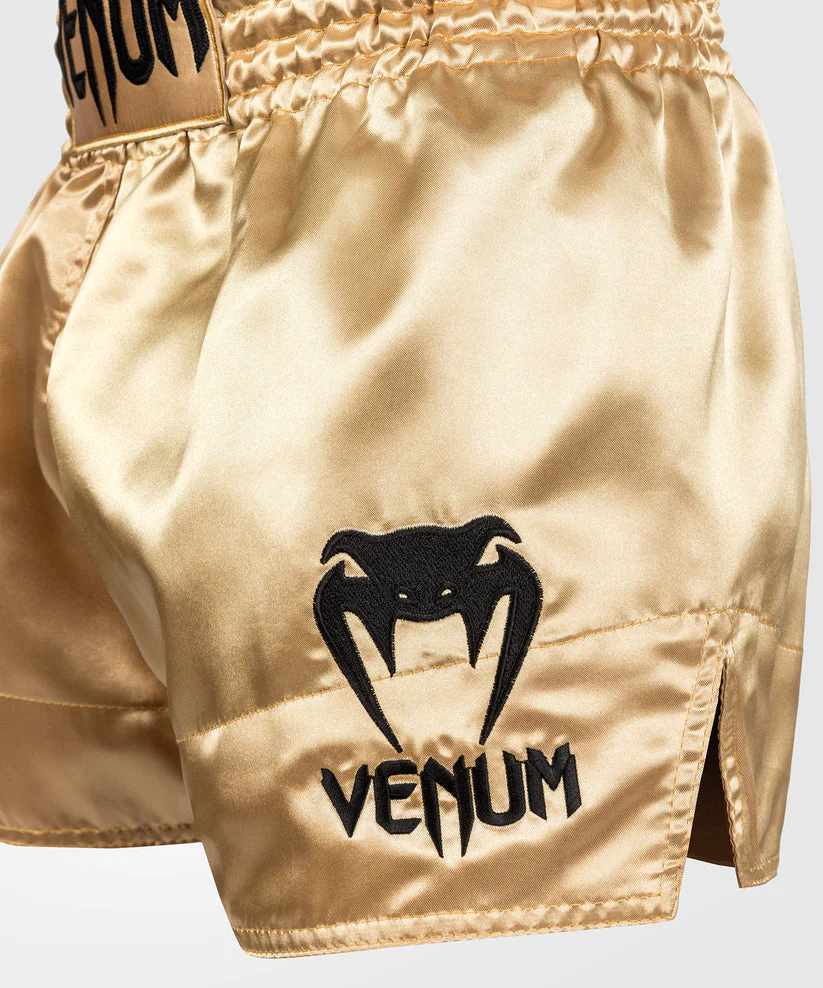 Kick-thai shorts Venum Muay Thai Classic - Image 17