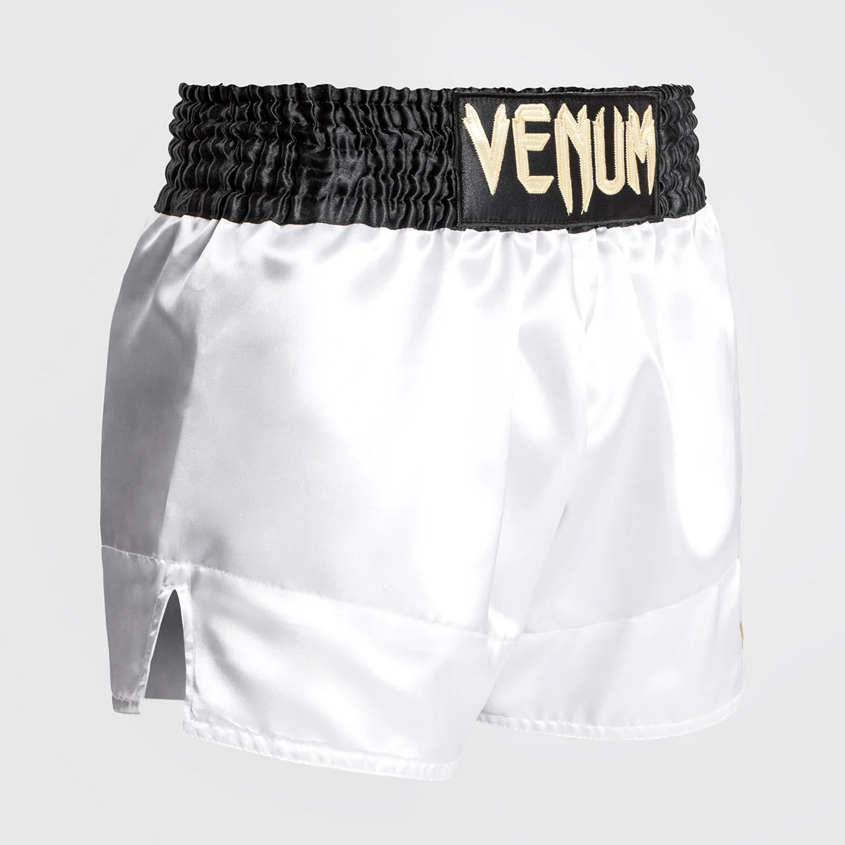 Kick-thai shorts Venum Muay Thai Classic - Image 30