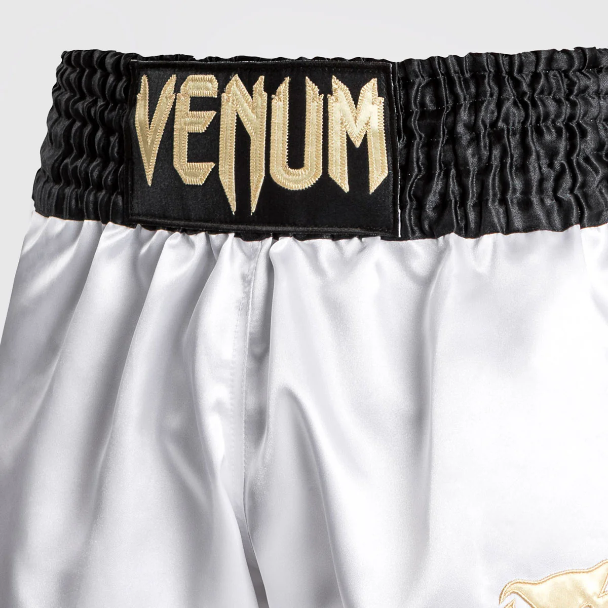 Kick-thai shorts Venum Muay Thai Classic - Image 31