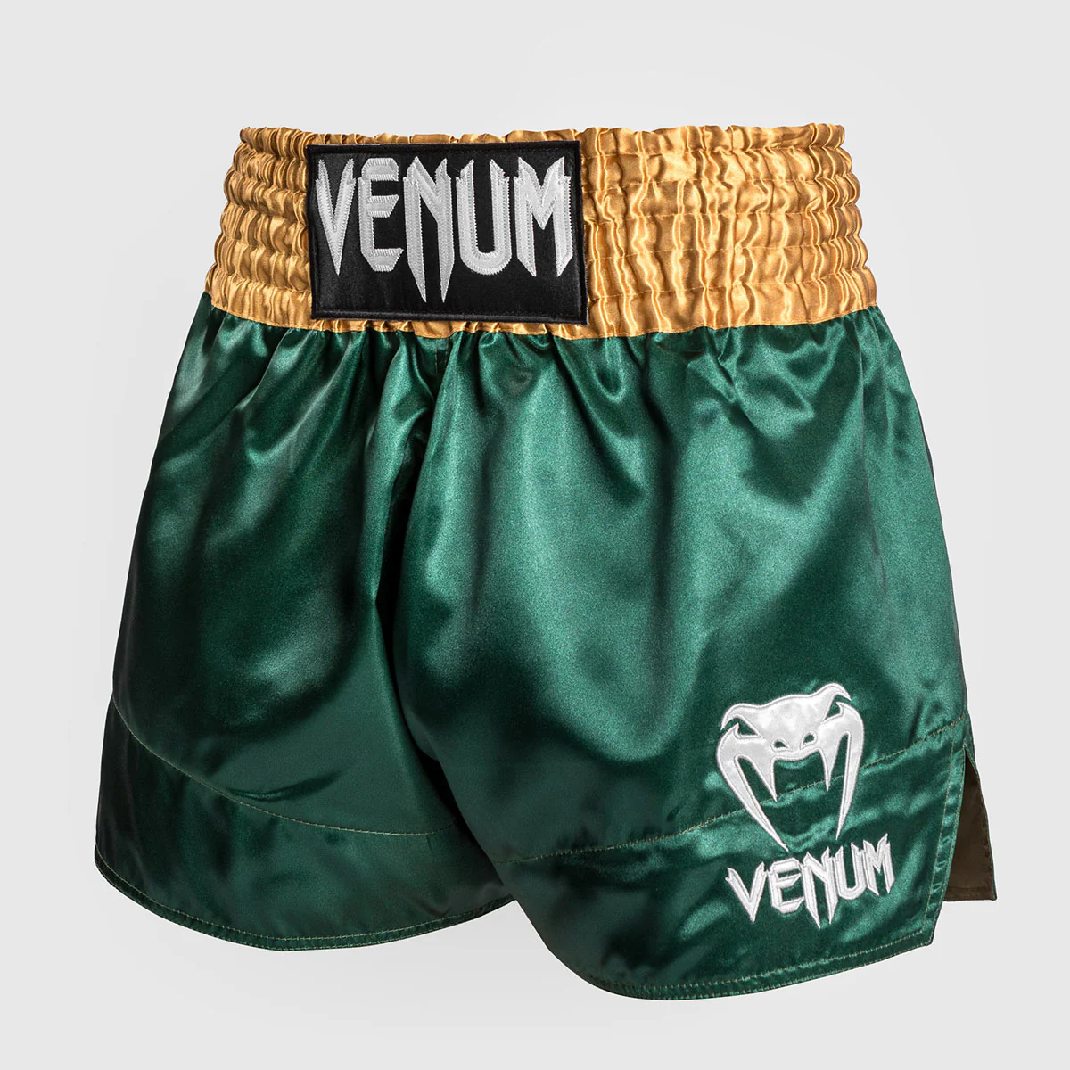Kick-thai shorts Venum Muay Thai Classic - Image 39