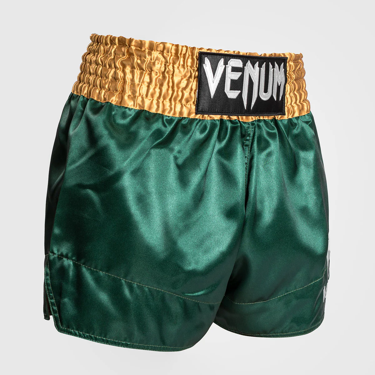 Kick-thai shorts Venum Muay Thai Classic - Image 40