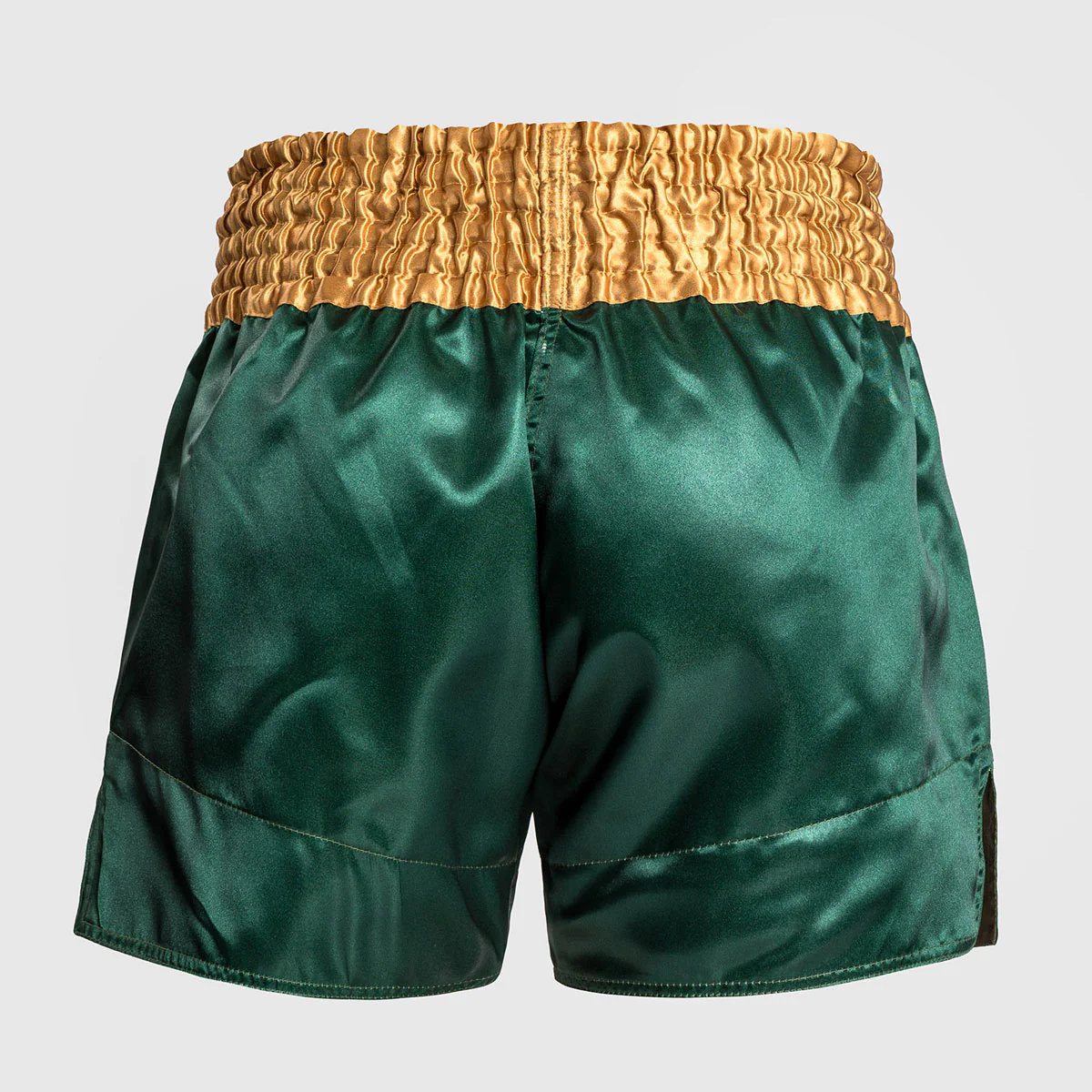 Kick-thai shorts Venum Muay Thai Classic - Image 41