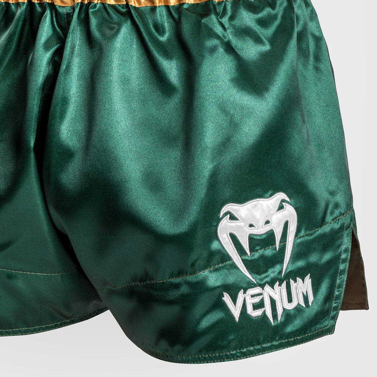 Kick-thai shorts Venum Muay Thai Classic - Image 42