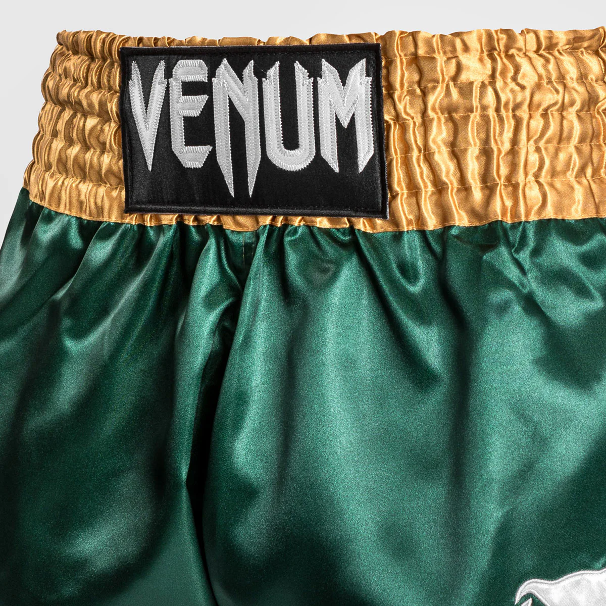 Kick-thai shorts Venum Muay Thai Classic - Image 43